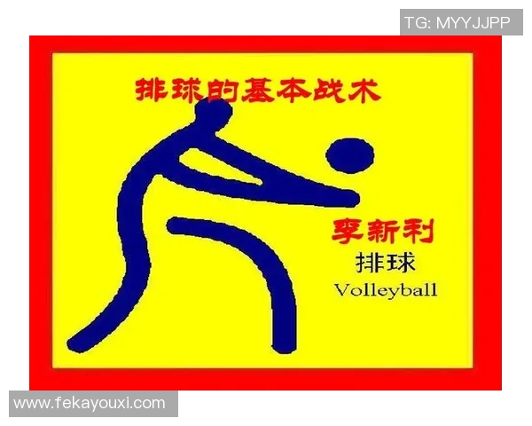 重庆排球队反击战术深度解析与实战应用探讨