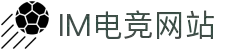 im电竞·(中国)电子竞技平台
